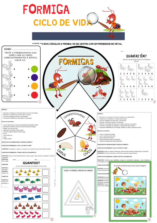 Plano de aula "Que Bicho é Esse? Descobrindo Formigas no Parque"