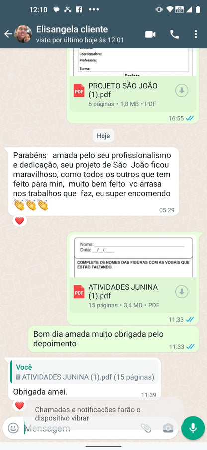 PROJETO SÃO JOÃO